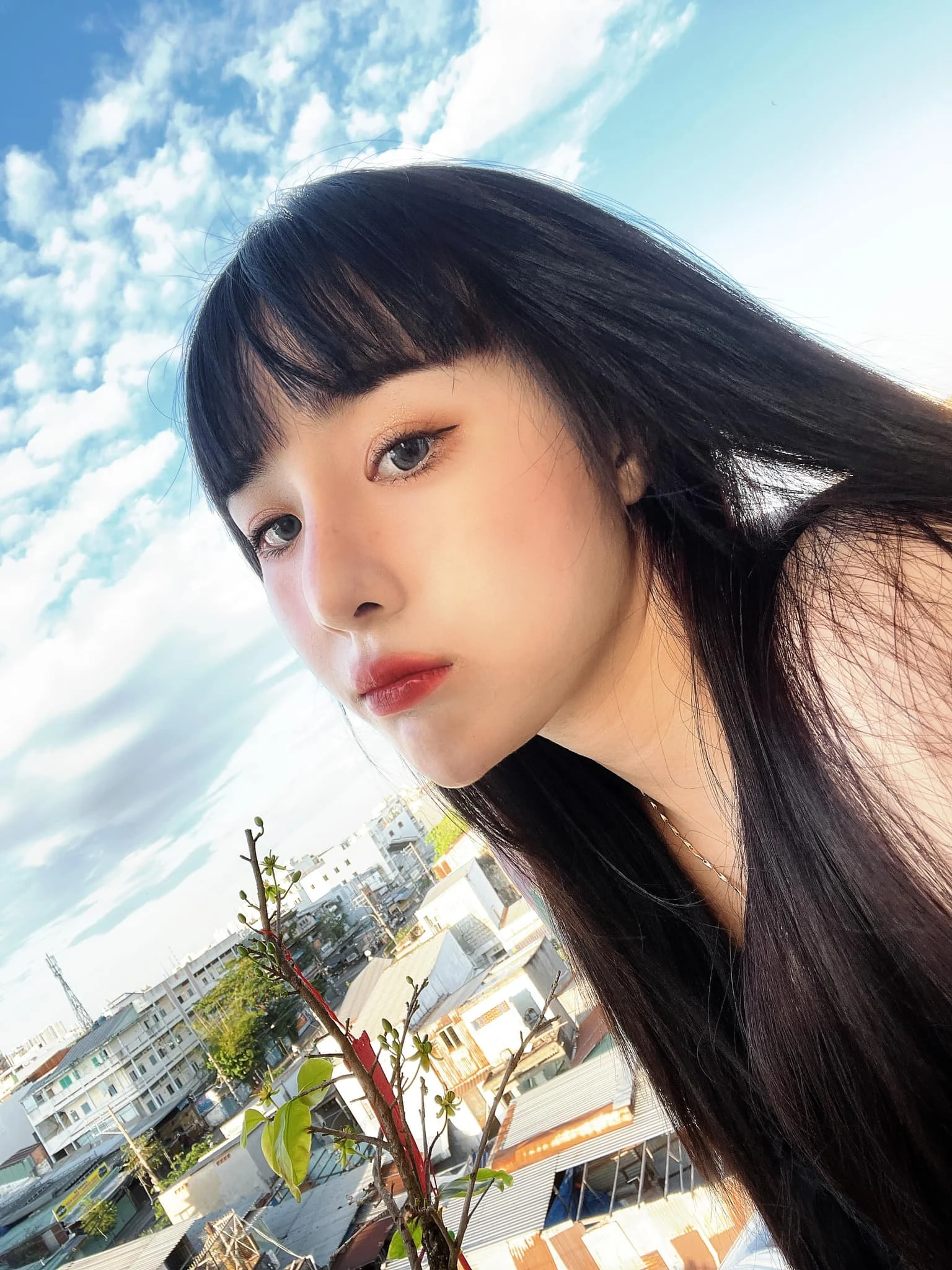 e-kim-linh- 5