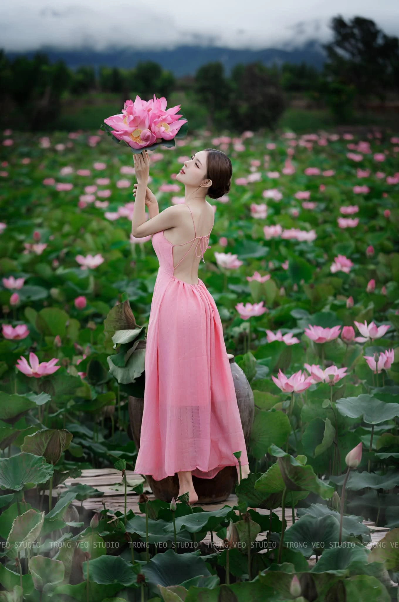 Lilly luta 4