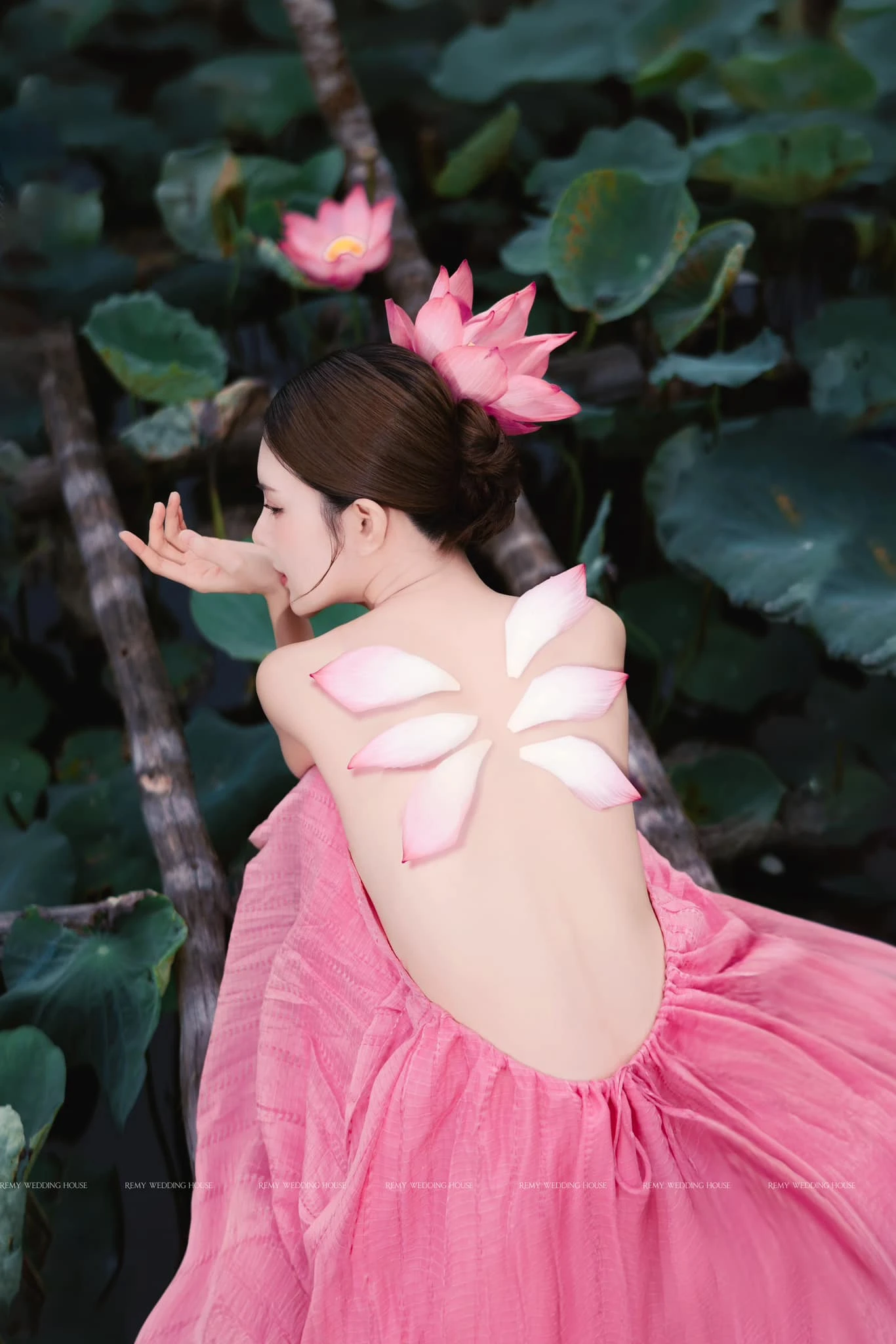 Lilly luta 5
